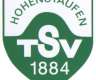 Die aktiven Fußballer des TSV...